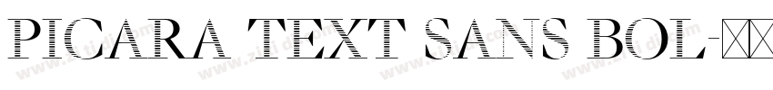 Picara Text Sans Bol字体转换 Picara Text Sans Bol字体转换